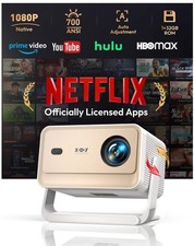 Netflix official Portable