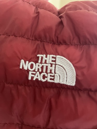 The north face coat mens - the,