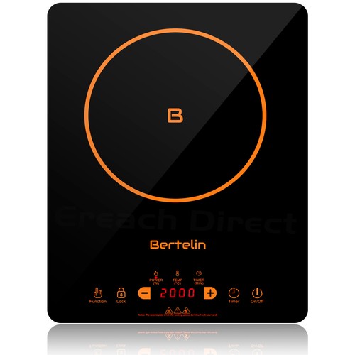 Bertelin electric induction - electric,