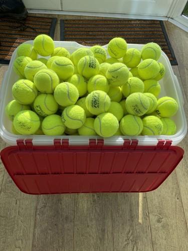 Used tennis balls for - 15,