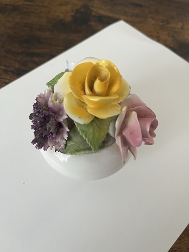 Radnor bone china - bone, colour