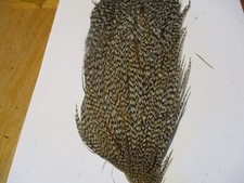 metz cock neck cape grizzle