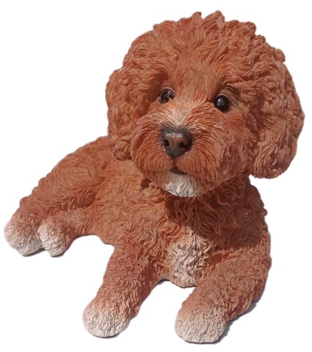 Vivid arts labradoodle - arts, ginger