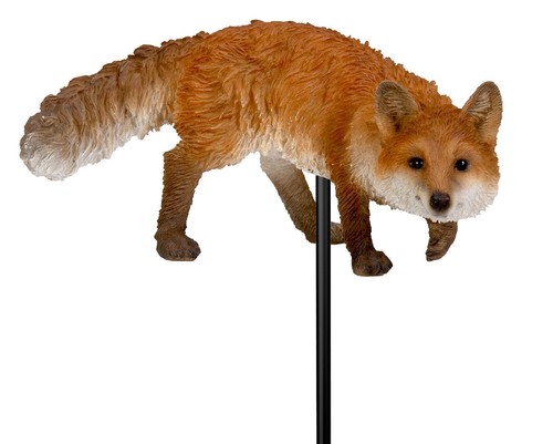 Vivid arts fox - vivid, prowling