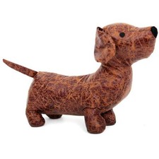 Charming dachshund puppy - charming,
