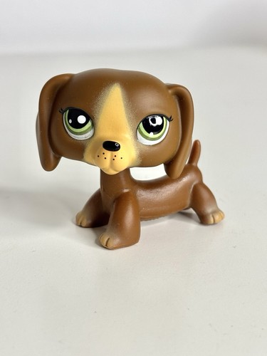 Dachshund dog 172 - dog, #g7