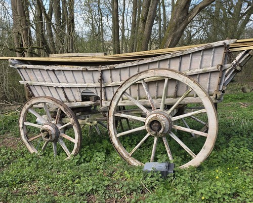 Horse dray cart shire - horse,