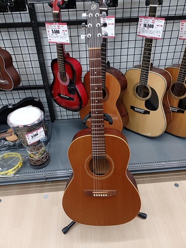Seagull folk acoustic - seagull, s6