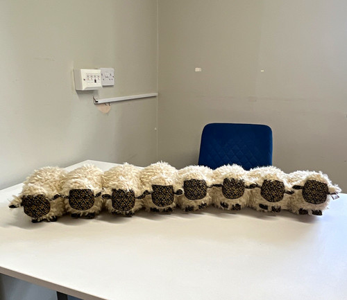 Flock sheep draught - of,