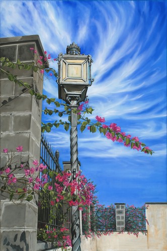 Bougainvillea flowers - ,