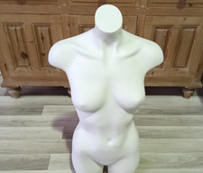 Female Mannequin Torso Free