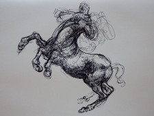 Horse Drawing Leonardo horse
