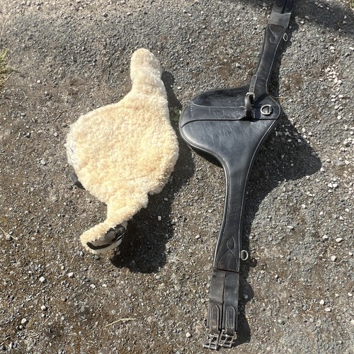 Whitaker stud girth with - , le