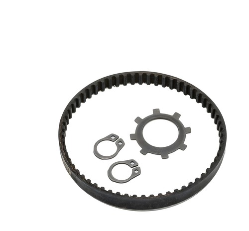 Belt water pump polini - belt,