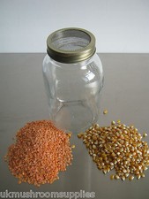 JAR SPROUTING KIT- SPROUTER , LIDS, ORGANIC SPROUTING SEEDS,BEAN- GROW SPROUTS