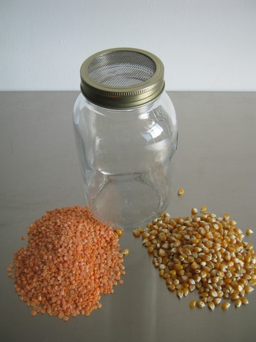 Jar sprouting kit - jar,