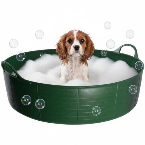 Green dog bath - dog, paddling
