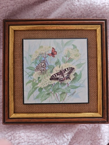 Butterfly miniature framed - miniature,
