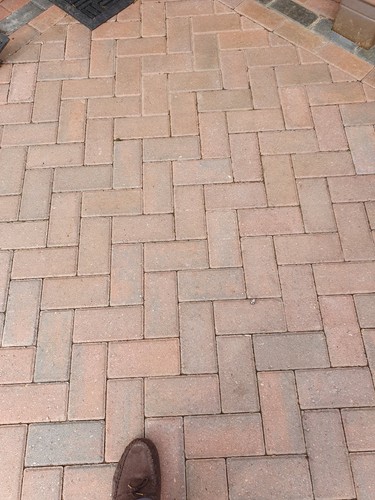 Standard concrete paving - concrete,