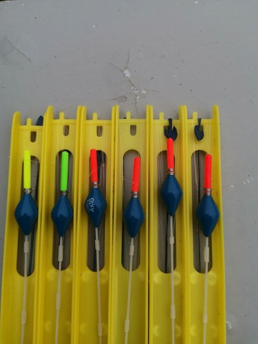 Carp margin pole - pole, rigs