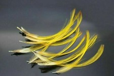 PACK OF 15 X GOLDEN PHEASANT TOPPING CREST FEATHERS FOR FLY TYING, BROOCH MAKING