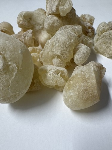 Fresh 2025 raw frankincense - fresh,