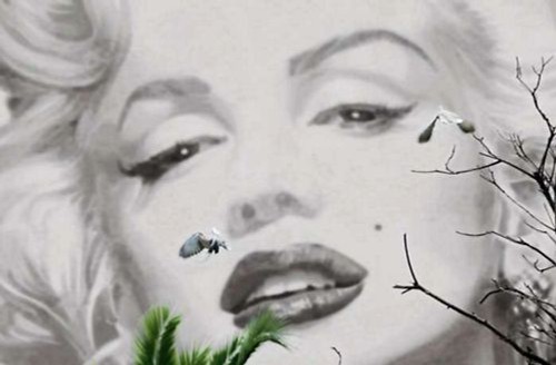 Photo wallpaper marilyn - wallpaper,