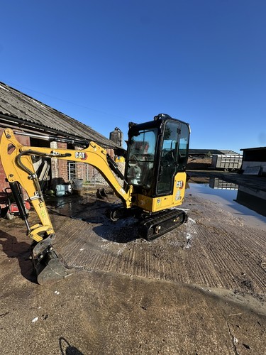 Cat 301 mini - cat,