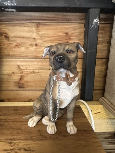 2006 brown staffordshire bull - staffordshire,