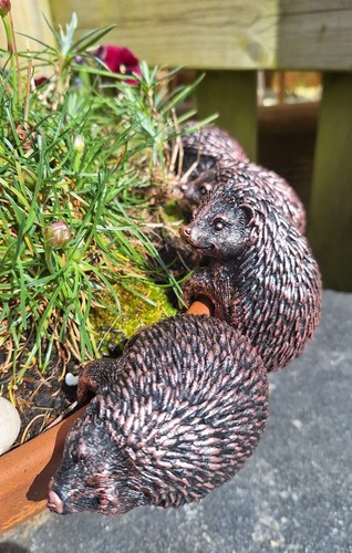 Garden pot hedgehog bronzed - garden,