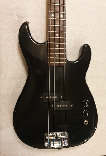 Electric bass guitar - electric,
