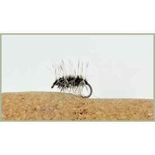 Griffiths Gnat Trout flies, 6