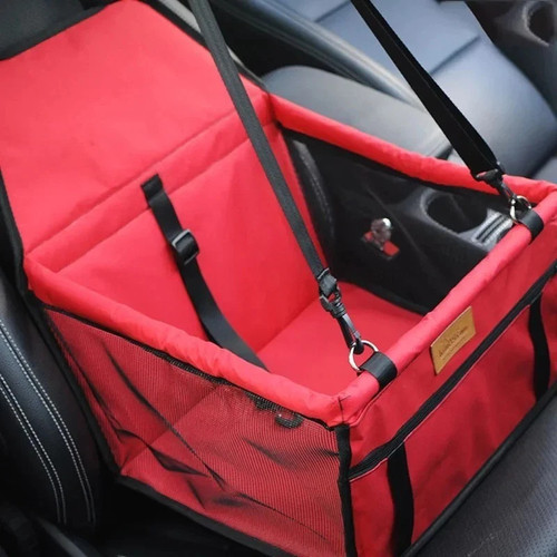 Pet dog cat car - cat, seat