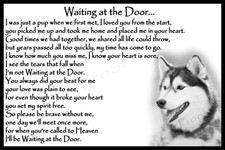 Siberian Husky Pet Dog Memorial Rainbow Bridge sympathy Gift magnetic card