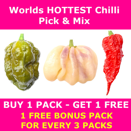 Worlds hottest chilli seeds - worlds,