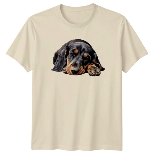 Gordon setter dogs animals - gordon,