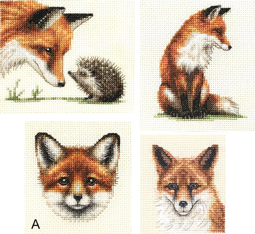 Red fox cub counted - fox,,