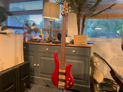Brothers 5 string bass - j, &