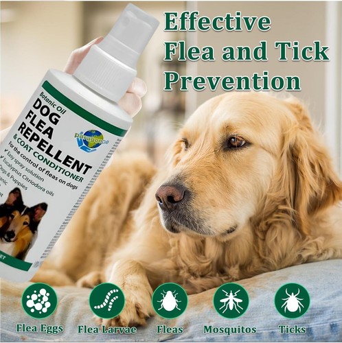 Paragon dog flea repellent - flea,