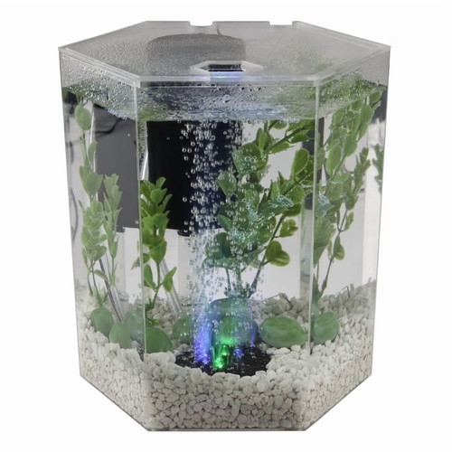 Gal bubbling led aquarium - gal,