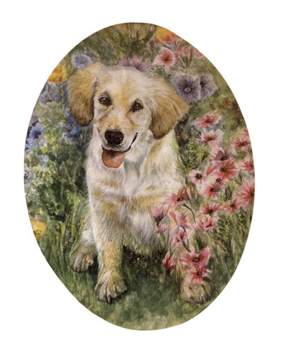 Golden retriever plaque - golden,