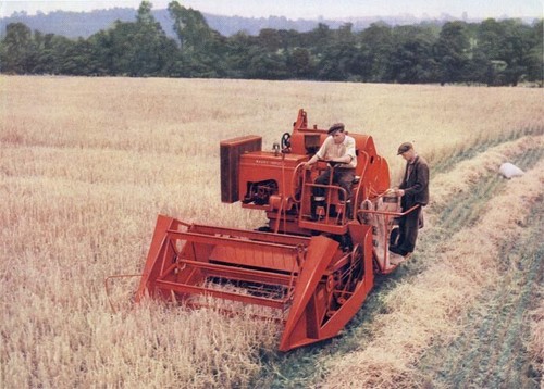 Vintage massey ferguson - massey,