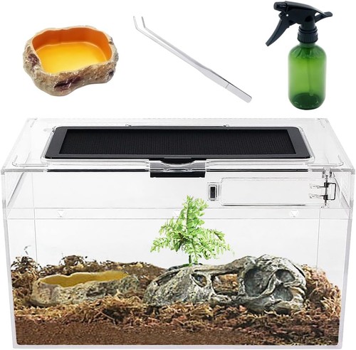 Mini reptile terrarium - mini,