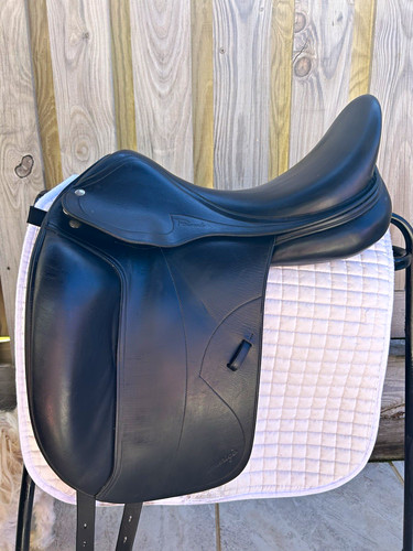 Amerigo pinerole dressage - pinerole,