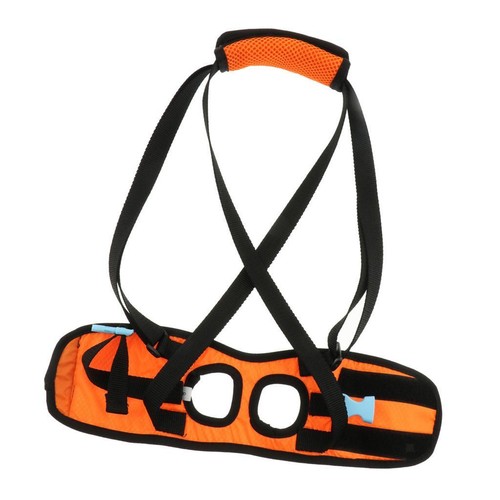 Dog walking lifting - dog,