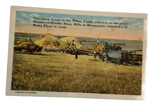 Threshing scene wheat - scene,