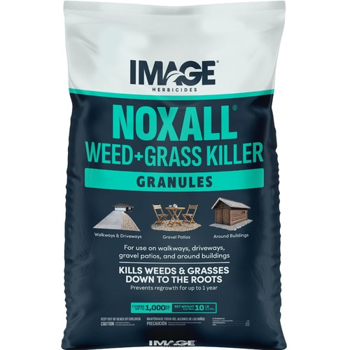 Image vegetation weed grass - vegetation, &