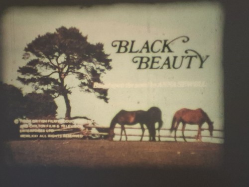 Black beauty 1971 super - 1971, 8