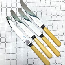 x 4 Vintage Thomas Turner Faux Bone Handle 'Encore' Cutlery 9.5"  24cm