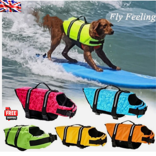 Dog life jacket pet safety - dog,